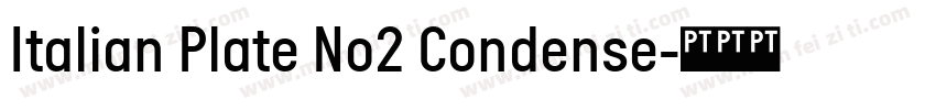 Italian Plate No2 Condense字体转换